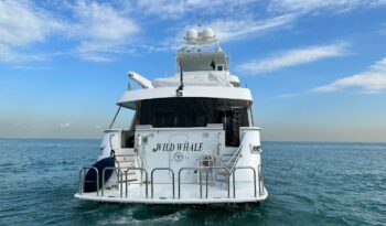 
										HATTERAS 36m 1993 full									