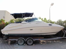 SEA RAY 240 Sundancer 2008