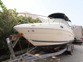 SEA RAY 240 Sundancer 2008