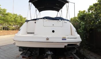 
										SEA RAY 240 Sundancer 2008 full									