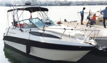 
										CRUISERS 477 Sport Sedan 2008 full									