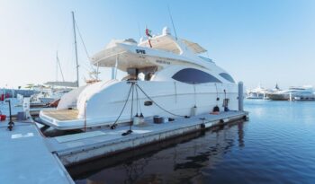 MAJESTY 88 Fly 2010