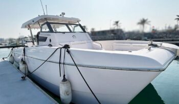 
										RIVIERA 38 Flybridge 2019 full									